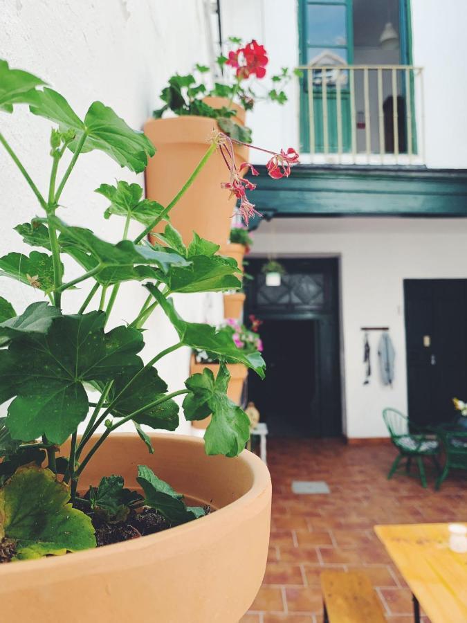 Maria Magdalena - Room 5 Málaga Exterior foto